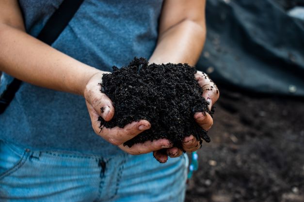 hands holding soil