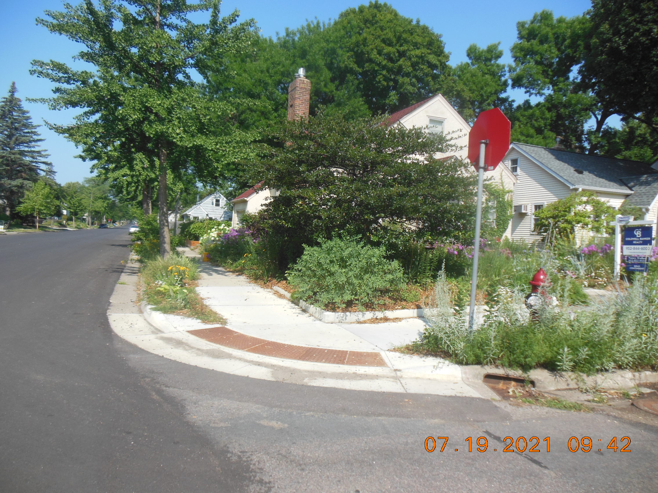 View of city intersection with green crosswalk striping