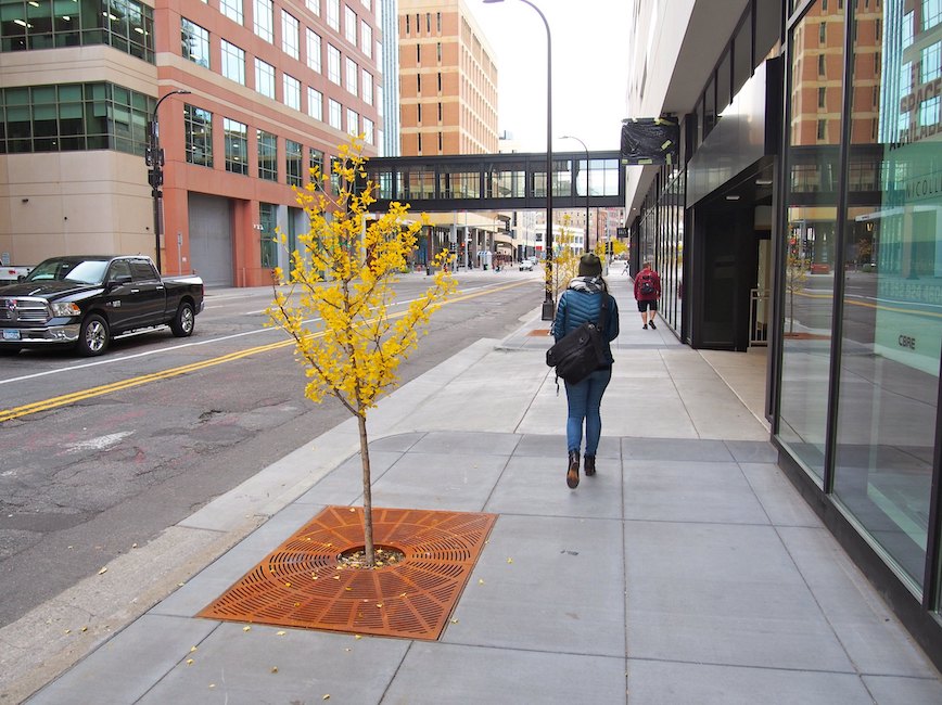 pedestrian walking on 4th Street S in autumn