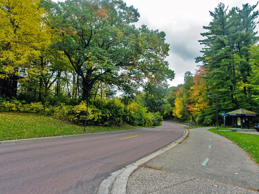 Asphalt parkway road surrounded by full, green trees