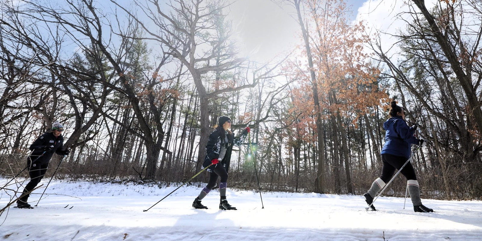 A group of 3 people ski at Theodore Wirth Regional Park.