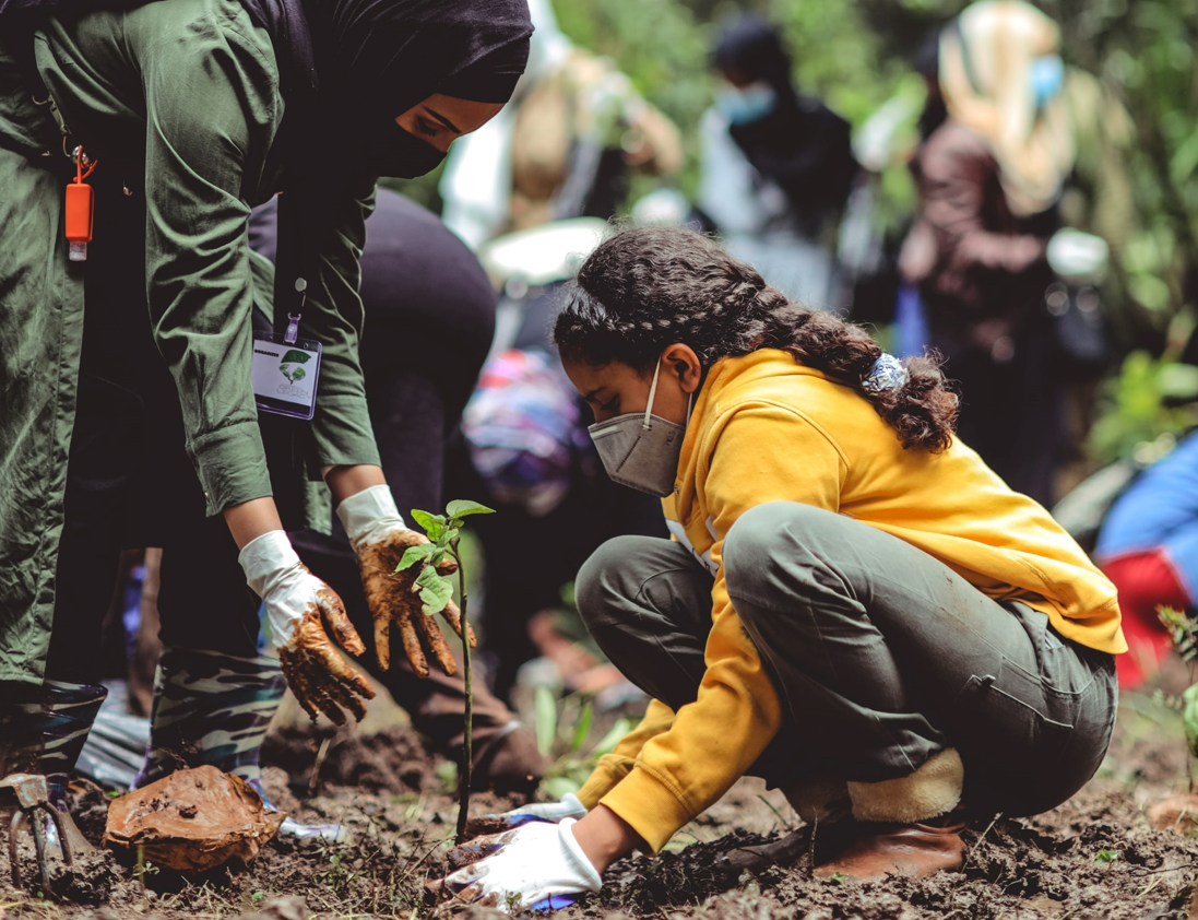 People planting trees in unsplash