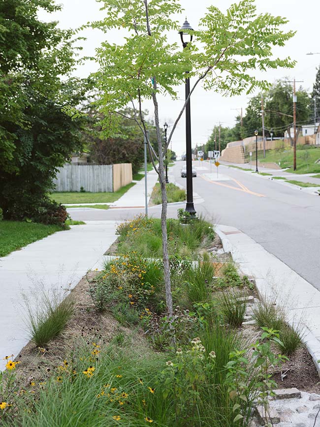 A streetlight in a boulevard garden.
