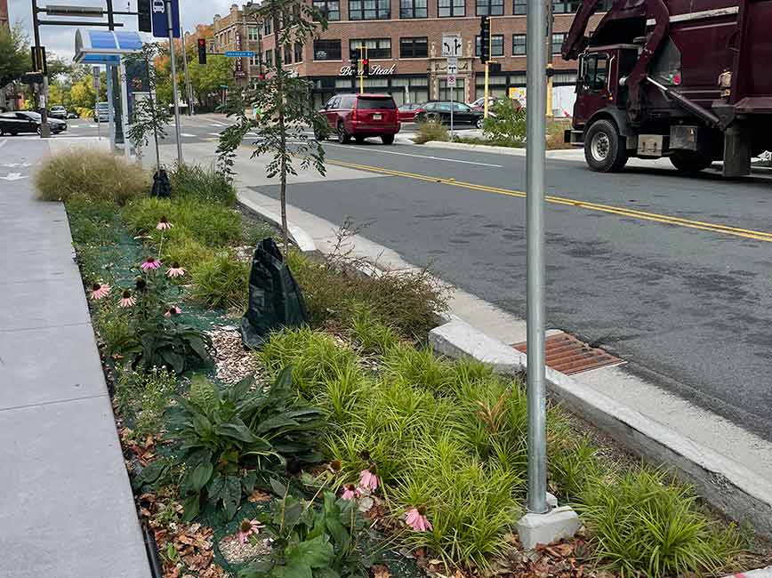 Green infrastructure along a street.