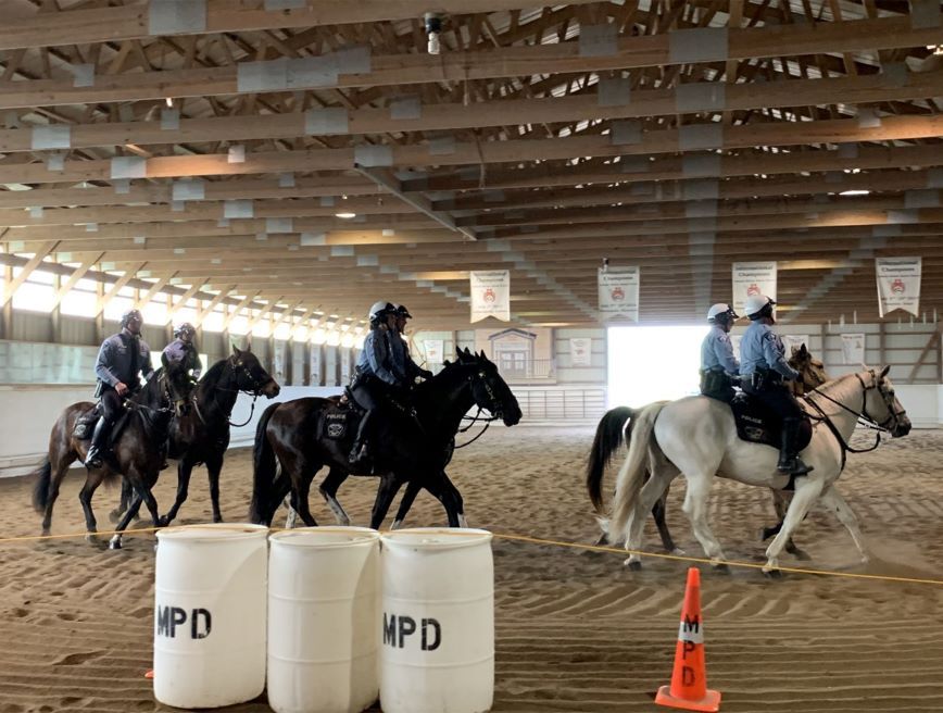Police horses walking in arena