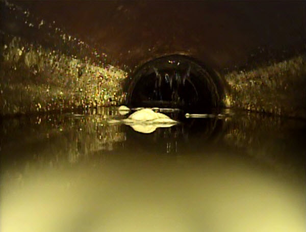 Interior view of Sanitary Pipe at 46th Ave. It has a low point and is full of material. Interior view of Sanitary Pipe at 46th Ave. It has a low point and is full of material.