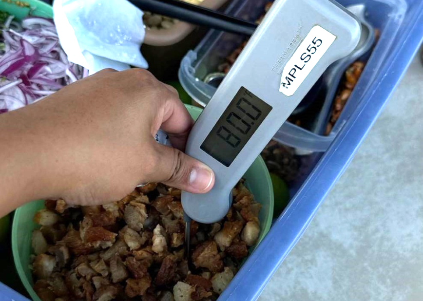 thermometer in meat