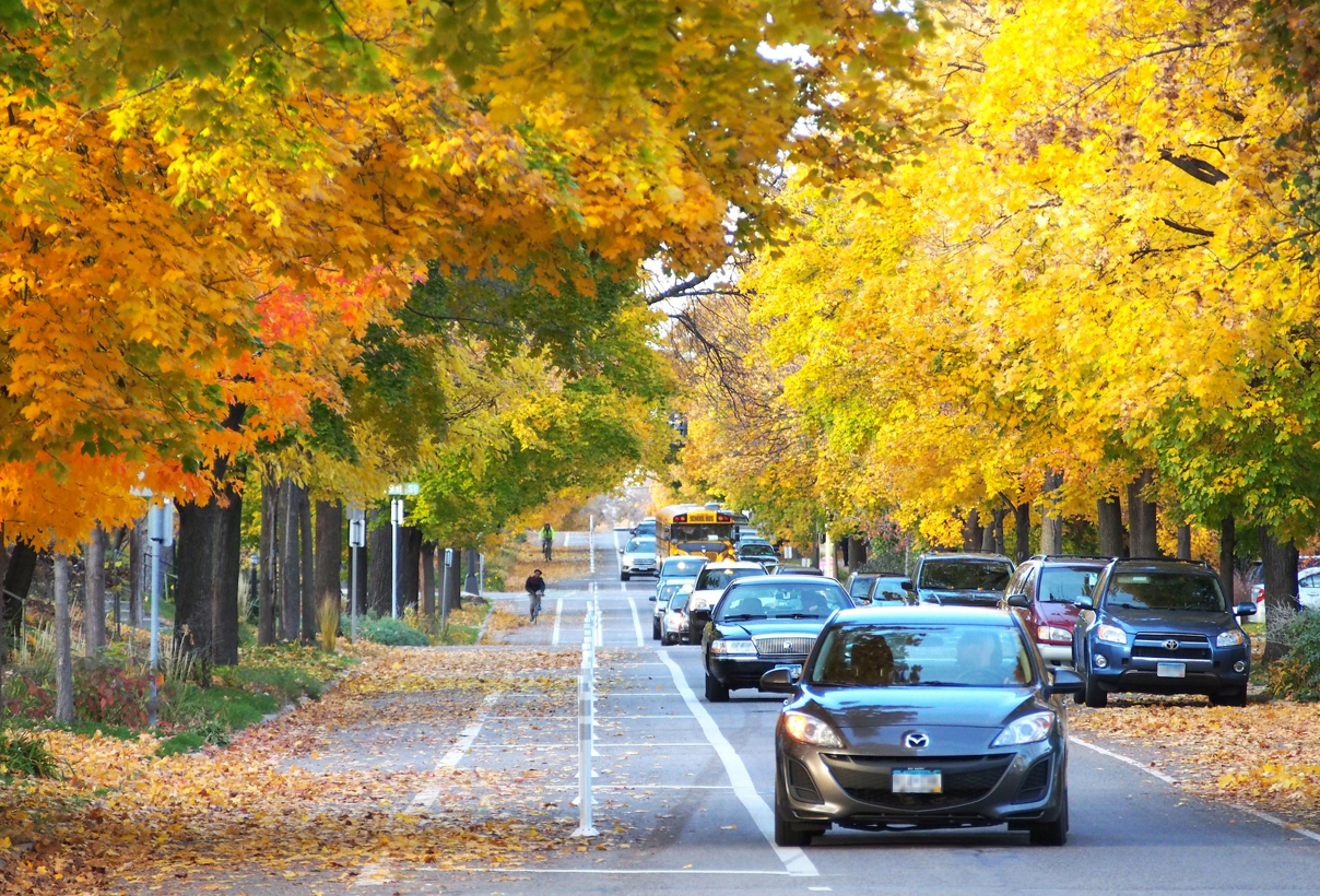 cars driving down street in fall