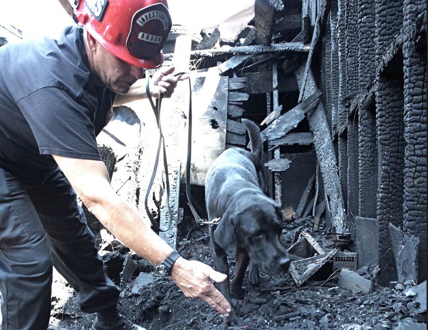 Person looking at ashes to see if it was arson