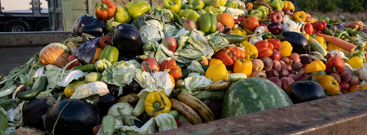 Wasted food in Dumpster Wasted food in Dumpster
