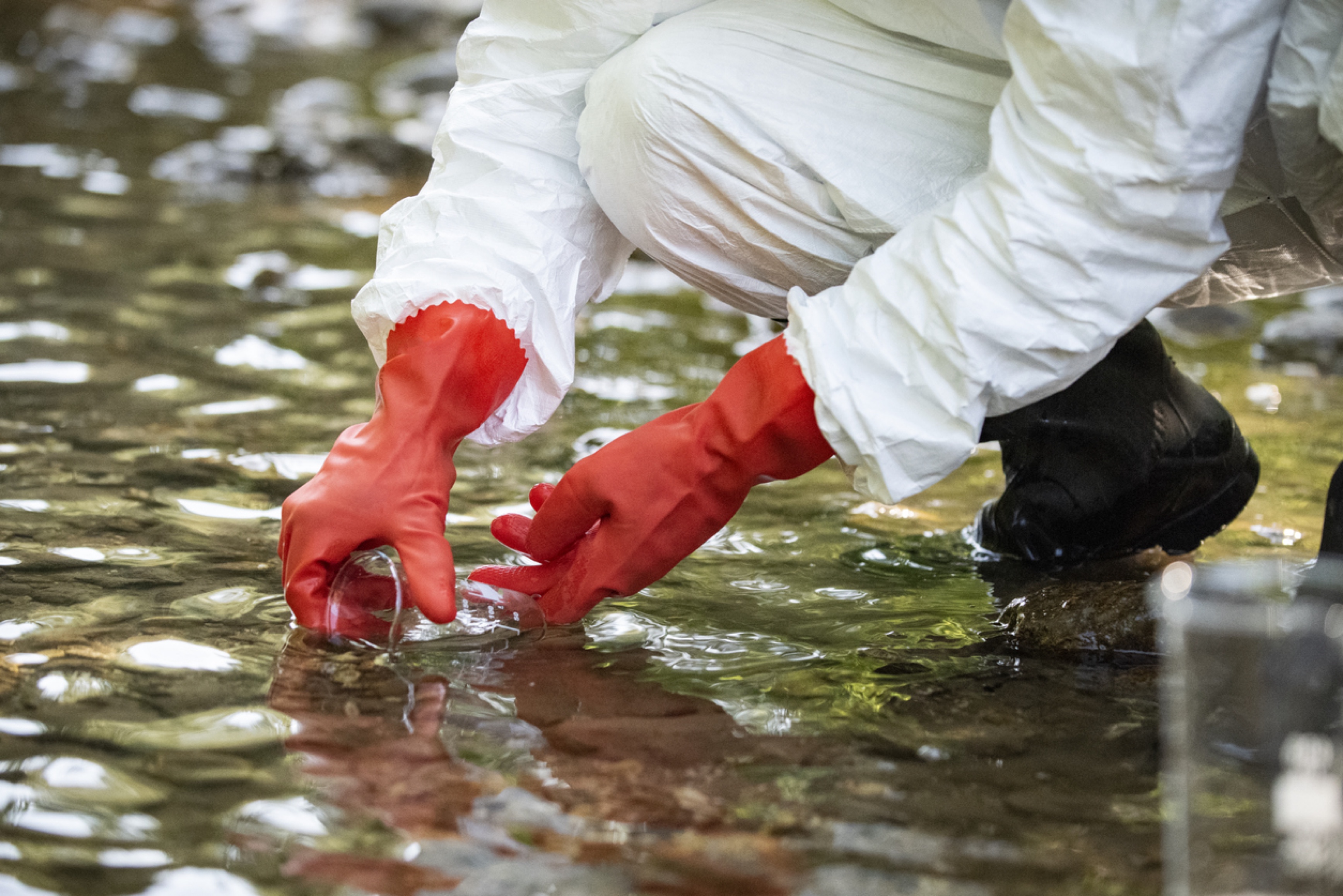 Hand of a person collecting water samples